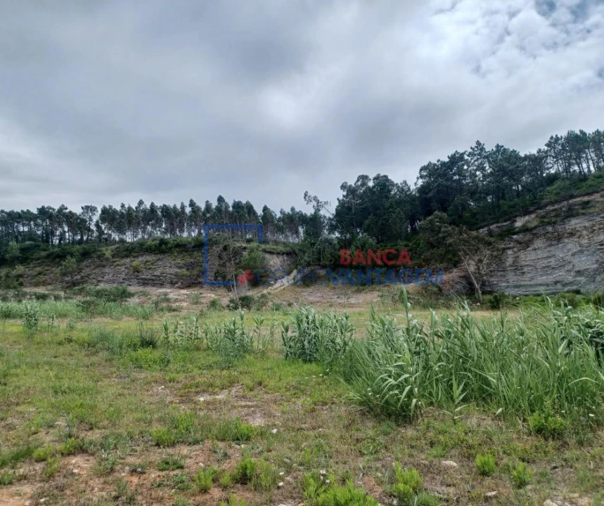 Terreno P/ Prédio para Venda em Alhadas Foto 3