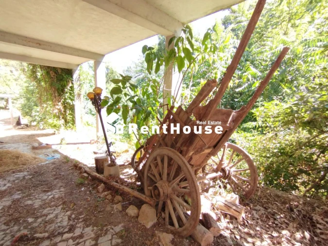 Negócio para Venda em Aguda Foto 19