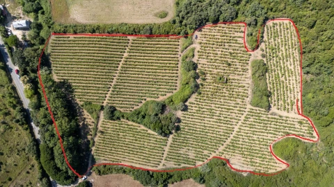 Terreno Agricola ou Rústico para Venda em Santo Quintino