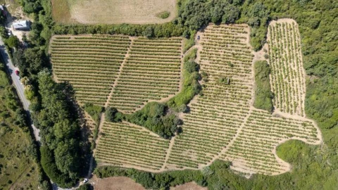 Terreno Agricola ou Rústico para Venda em Santo Quintino
