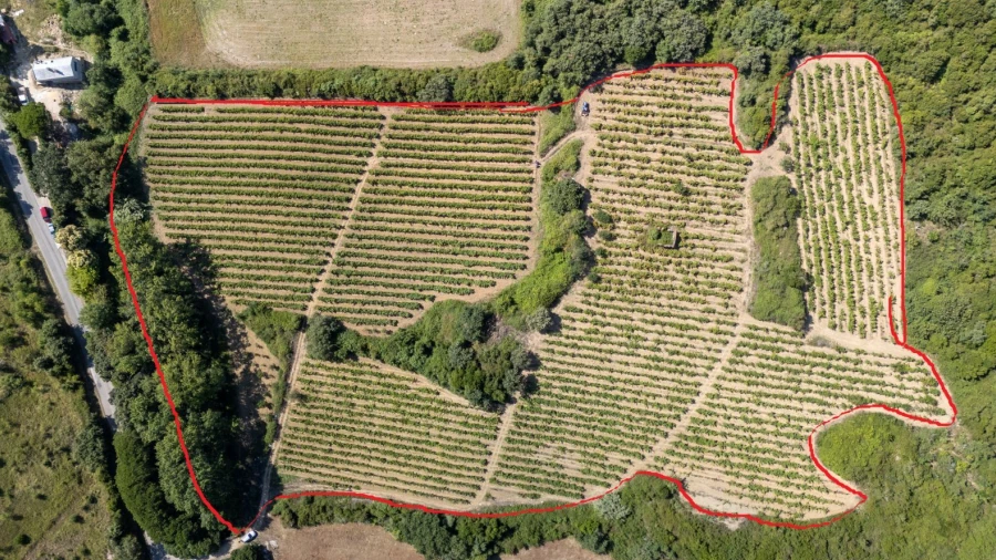 Terreno Agricola ou Rústico para Venda em Santo Quintino