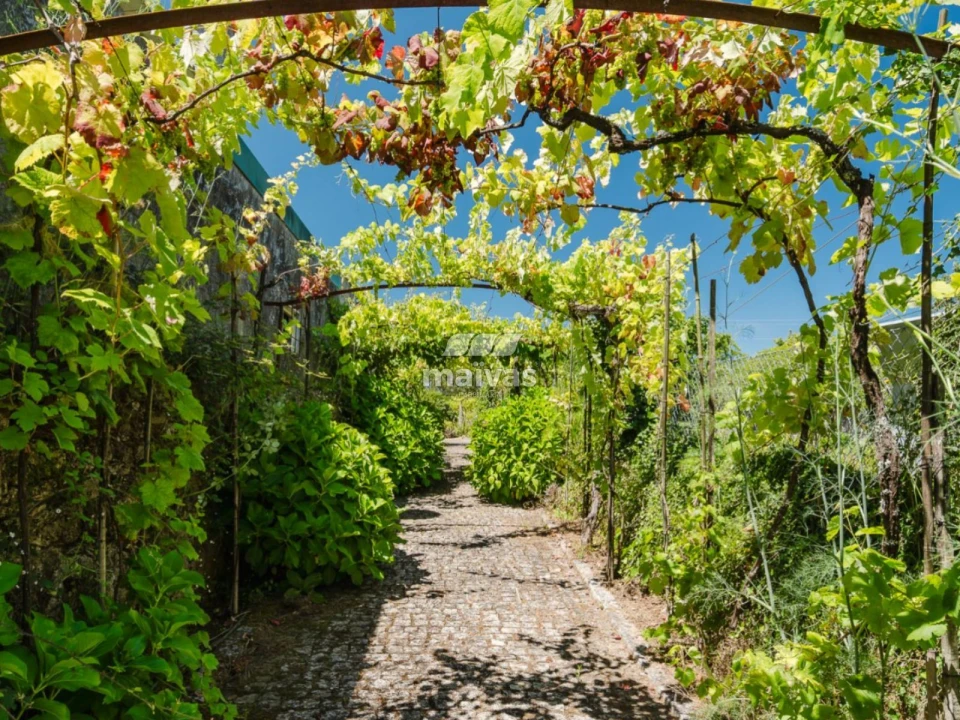 Quinta T5 para Venda em Barroselas e Carvoeiro Foto 33