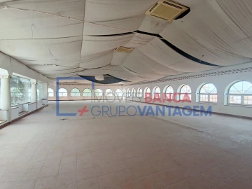 Quinta T5 para Venda em Almeirim