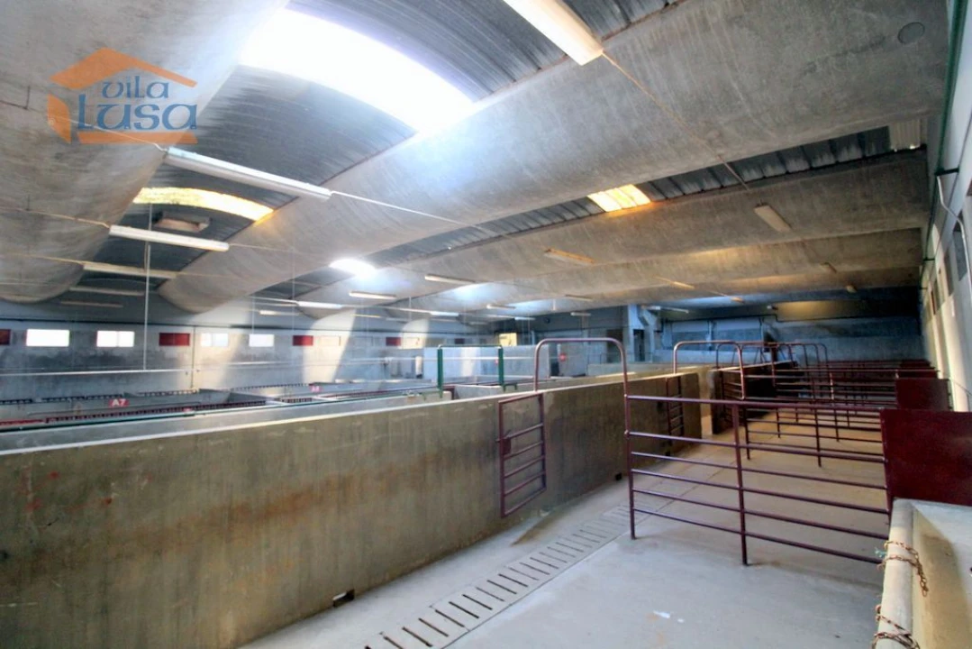 Armazém para Venda em Oliveira do Hospital e São Paio de Gramaços Foto 3