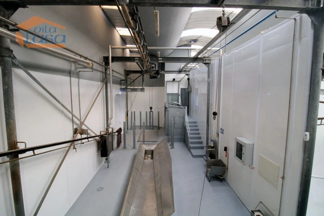 Armazém para Venda em Oliveira do Hospital e São Paio de Gramaços Foto 21