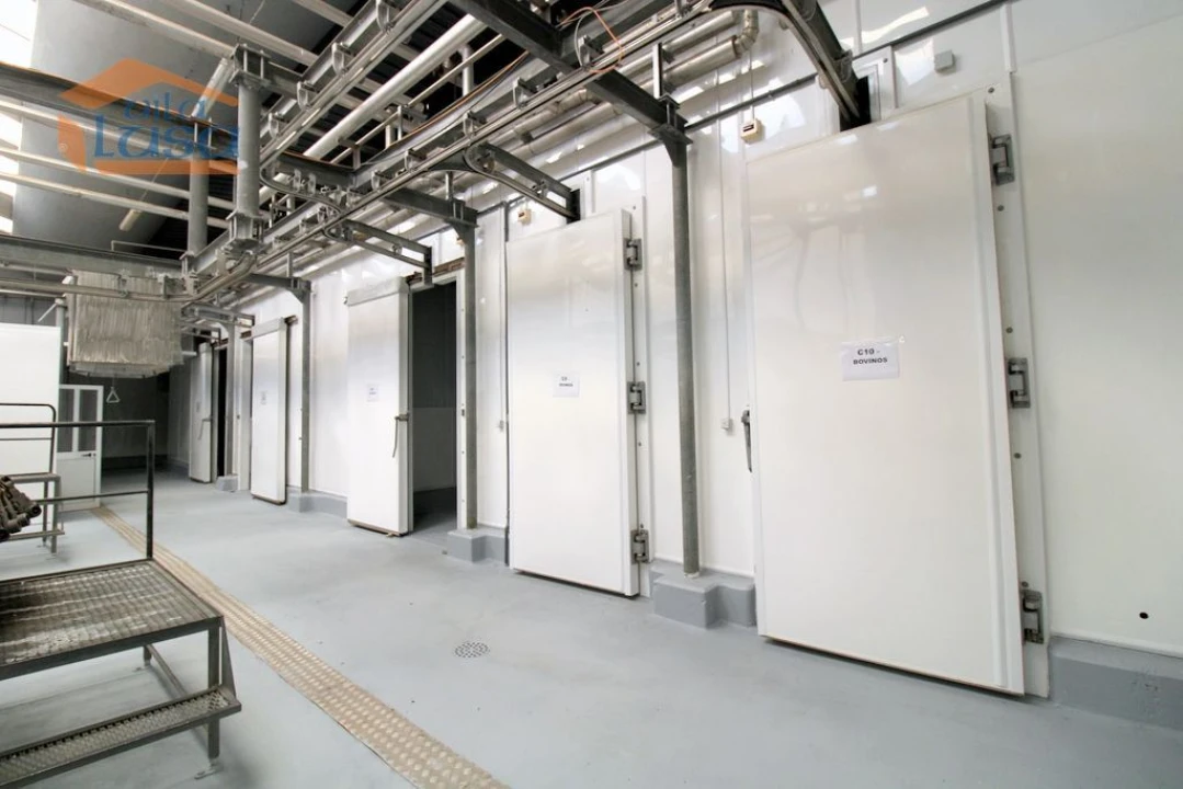 Armazém para Venda em Oliveira do Hospital e São Paio de Gramaços Foto 22