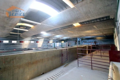 Armazém para Venda em Oliveira do Hospital e São Paio de Gramaços