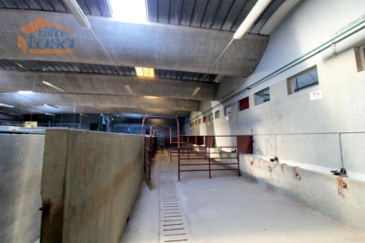 Armazém para Venda em Oliveira do Hospital e São Paio de Gramaços