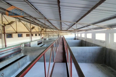 Armazém para Venda em Oliveira do Hospital e São Paio de Gramaços