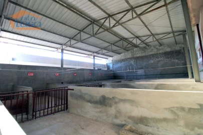 Armazém para Venda em Oliveira do Hospital e São Paio de Gramaços