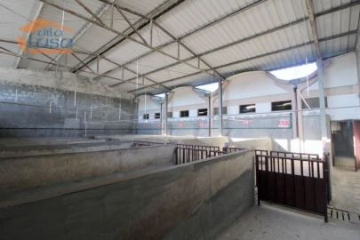 Armazém para Venda em Oliveira do Hospital e São Paio de Gramaços