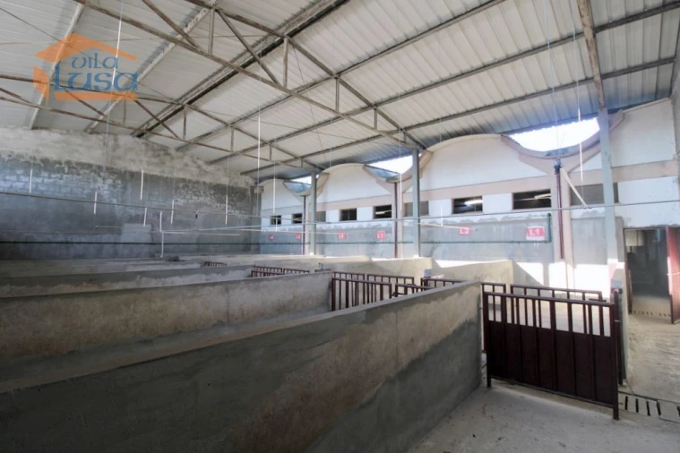 Armazém para Venda em Oliveira do Hospital e São Paio de Gramaços Foto 11