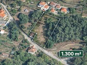 Terreno para Venda em Telões