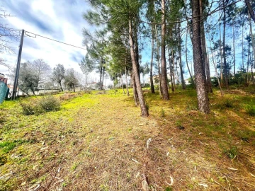 Terreno para Venda em Telões