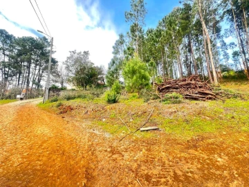 Terreno para Venda em Telões