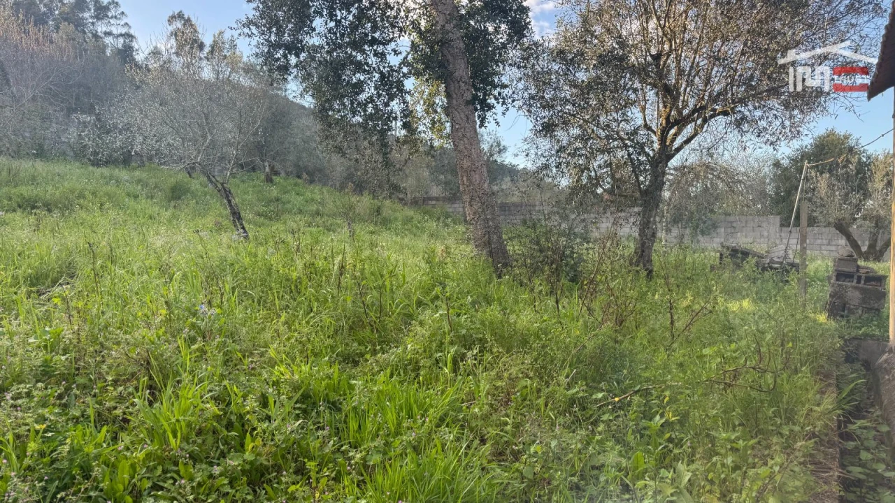 Moradia T3 para Venda em Maçãs de D. Maria Foto 28