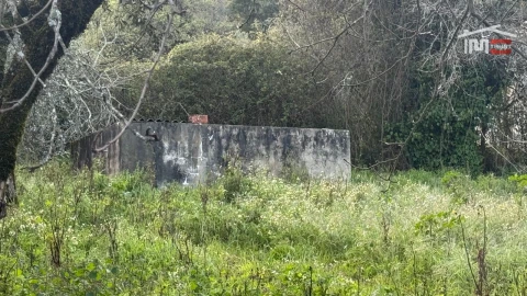 Moradia T3 para Venda em Maçãs de D. Maria