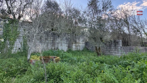 Moradia T3 para Venda em Maçãs de D. Maria