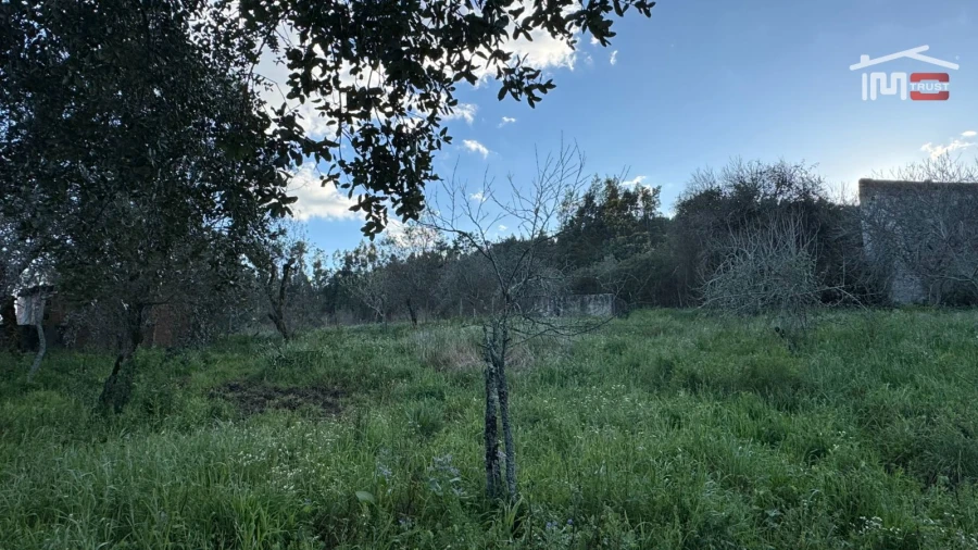 Moradia T3 para Venda em Maçãs de D. Maria Foto 36