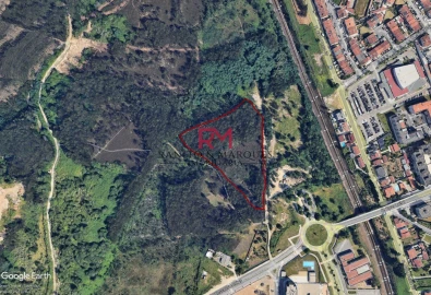 Terreno Agricola ou Rústico para Venda em Valongo