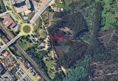 Terreno Agricola ou Rústico para Venda em Valongo