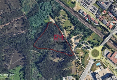 Terreno Agricola ou Rústico para Venda em Valongo