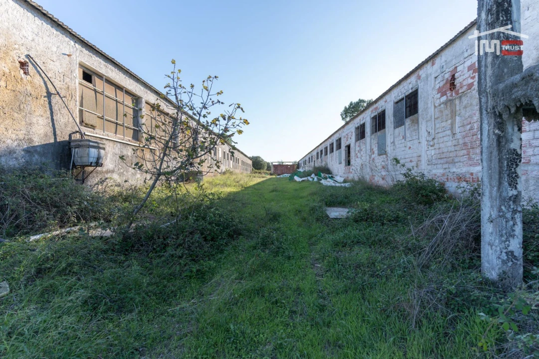 Armazém para Venda em Pedrogão Foto 6
