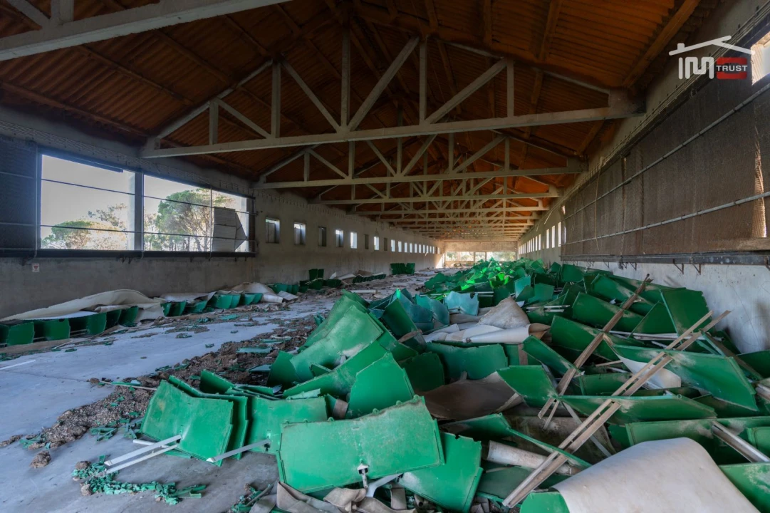 Armazém para Venda em Pedrogão Foto 16
