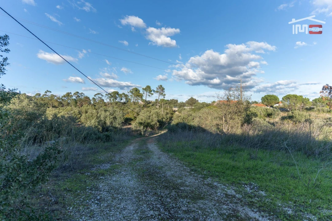 Armazém para Venda em Pedrogão Foto 18