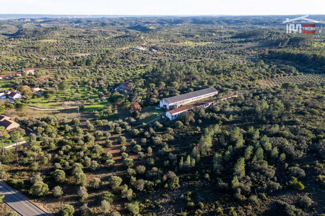 Armazém para Venda em Pedrogão Foto 25