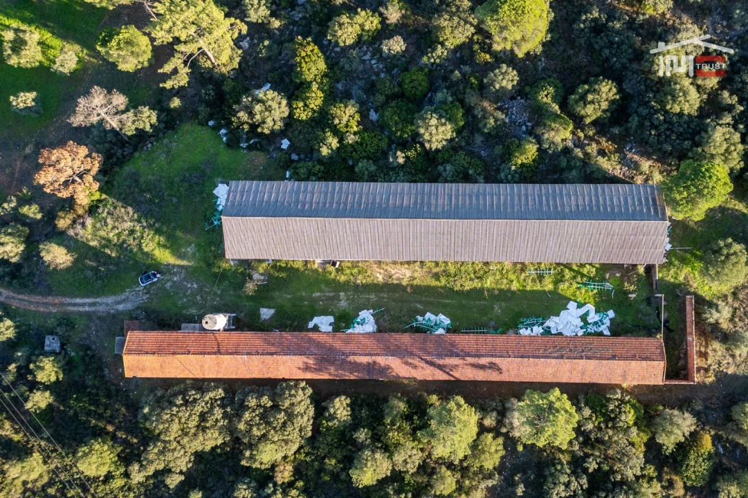 Armazém para Venda em Pedrogão Foto 1