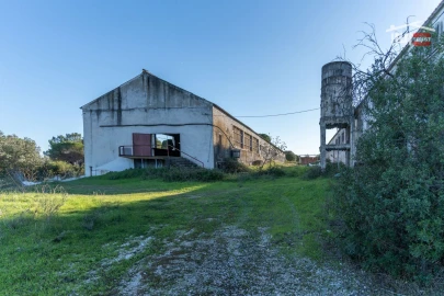 Armazém para Venda em Pedrogão