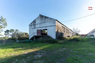 Armazém para Venda em Pedrogão