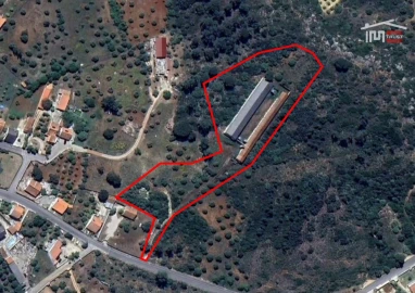 Armazém para Venda em Pedrogão