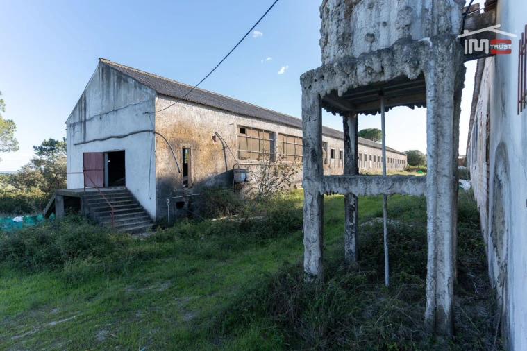 Armazém para Venda em Pedrogão Foto 12