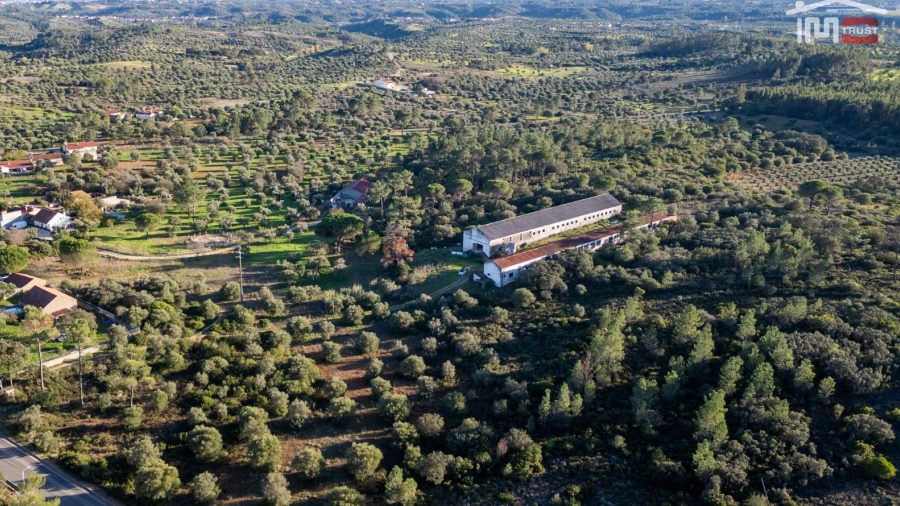 Armazém para Venda em Pedrogão