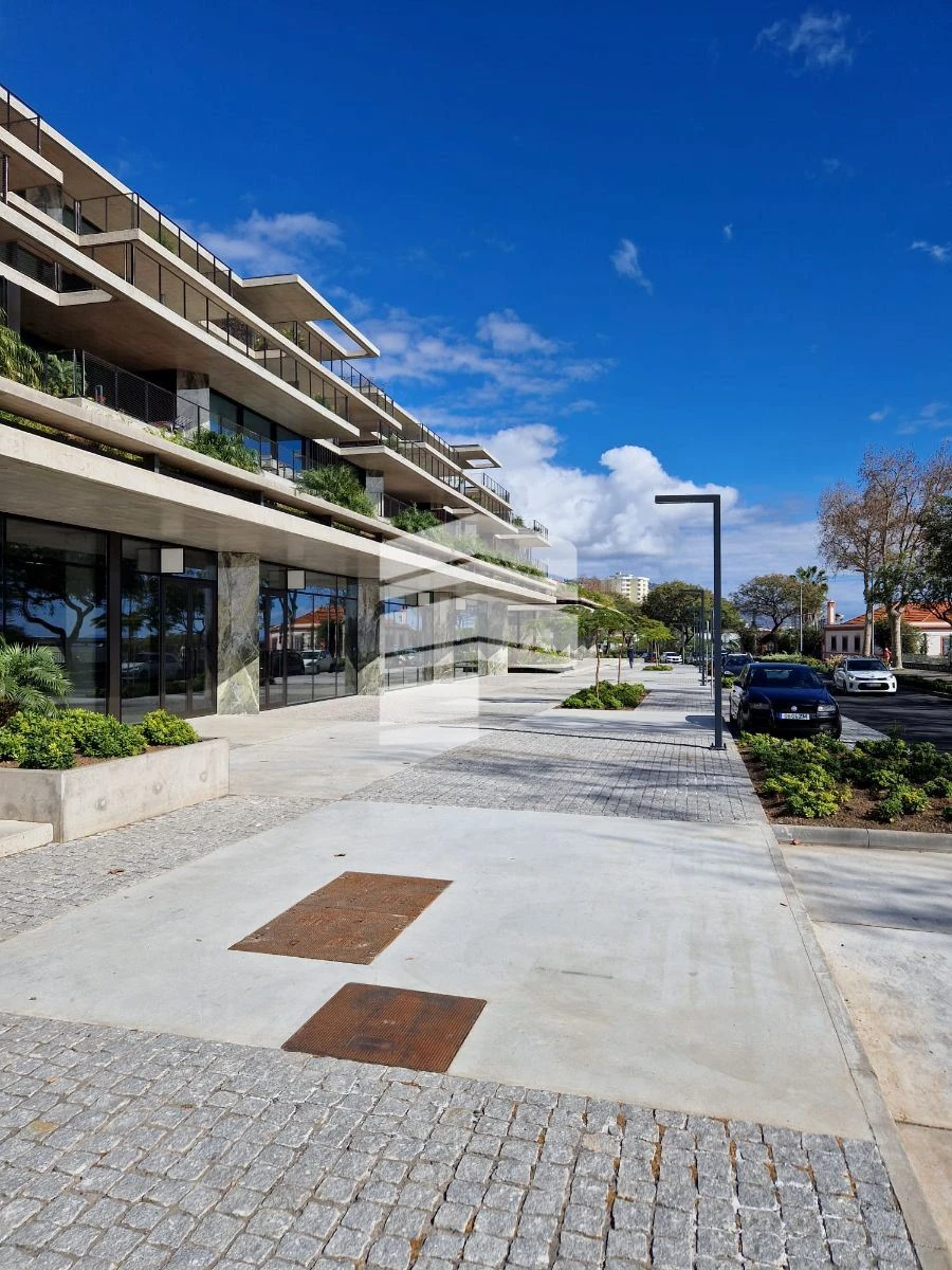 Loja para Venda em São Martinho Foto 4