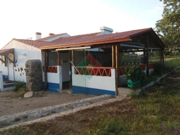 Quinta T7 para Venda em São Salvador da Aramenha