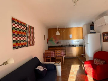 Quinta T7 para Venda em São Salvador da Aramenha