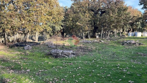 Quinta T7 para Venda em São Salvador da Aramenha