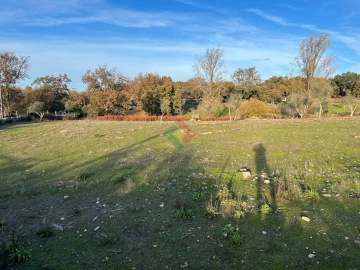 Quinta T7 para Venda em São Salvador da Aramenha