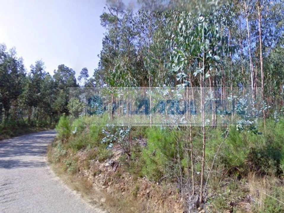 Terreno Agricola ou Rústico para Venda em Melres e Medas Foto 3