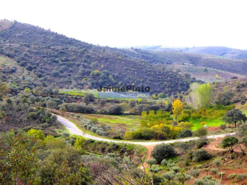 Terreno Agricola ou Rústico para Venda em Alfandega da Fe Foto 2