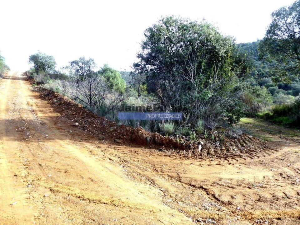 Terreno Agricola ou Rústico para Venda em Alfandega da Fe Foto 3