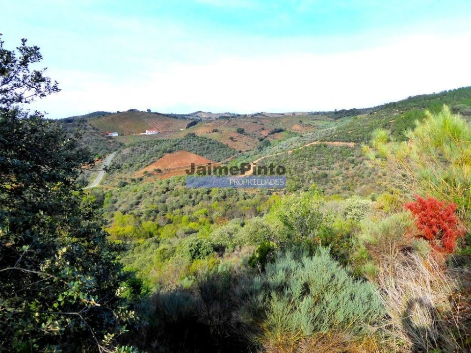 Terreno Agricola ou Rústico para Venda em Alfandega da Fe Foto 4