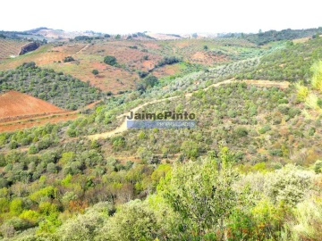 Terreno Agricola ou Rústico para Venda em Alfandega da Fe