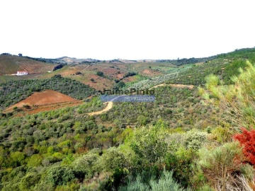 Terreno Agricola ou Rústico para Venda em Alfandega da Fe