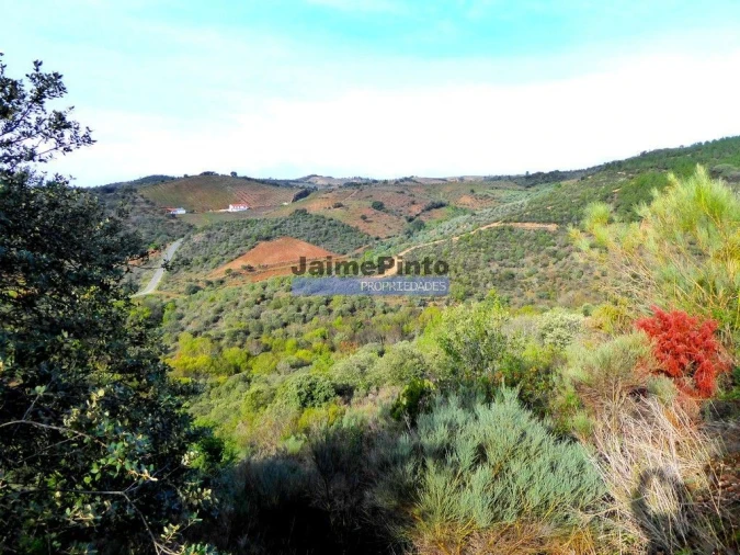 Terreno Agricola ou Rústico para Venda em Alfandega da Fe Foto 4