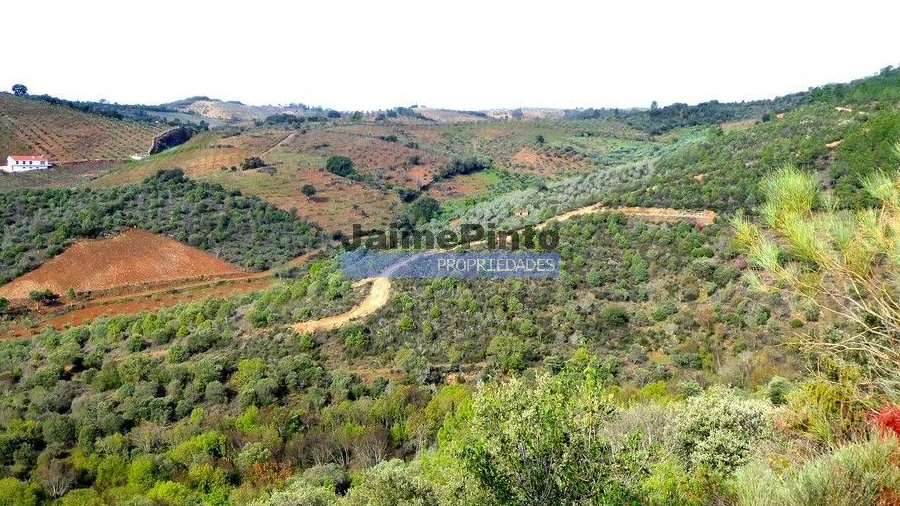 Terreno Agricola ou Rústico para Venda em Alfandega da Fe