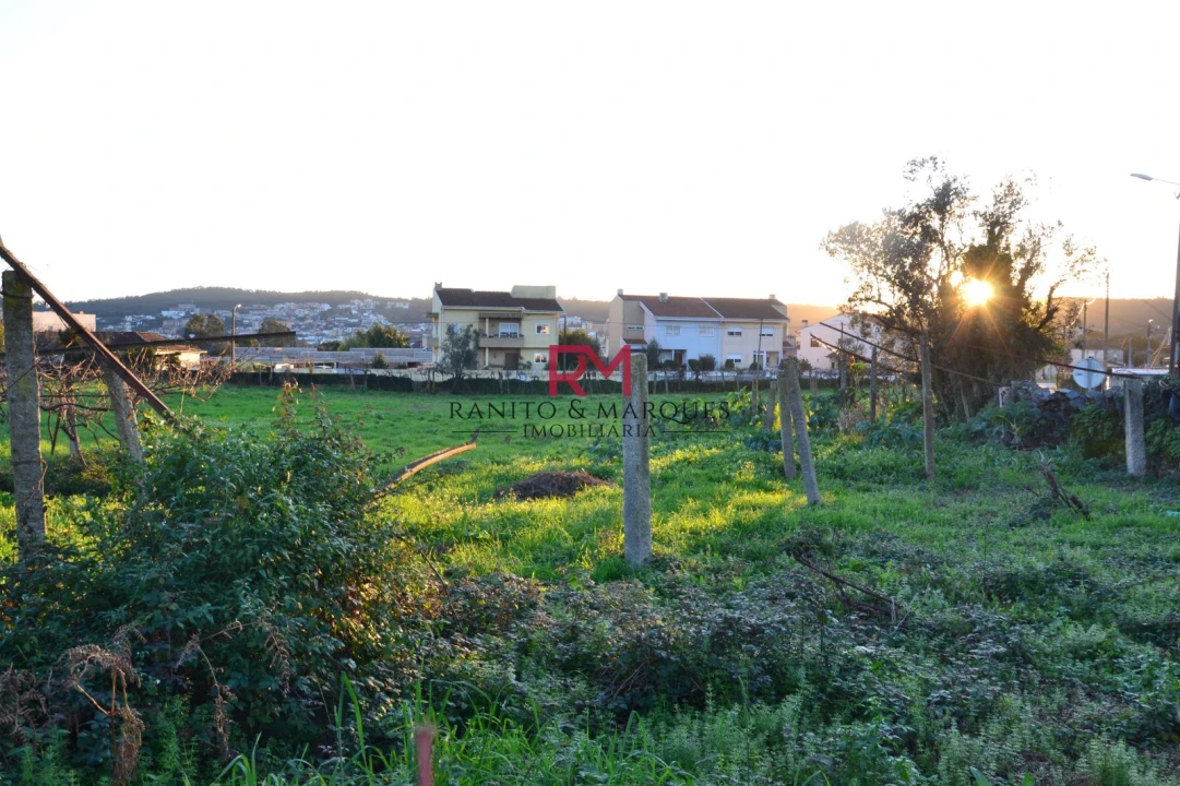 Terreno Agricola ou Rústico para Venda em Valongo Foto 5